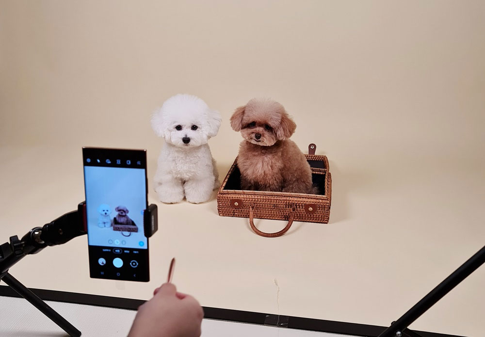 samsung travel with my pet
