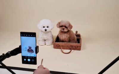 7 Photo Tips To Show Off Your Pet’s Best Side With Your Samsung Galaxy